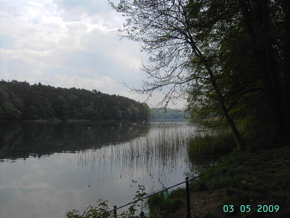 Ferienwohnung Luzinblick Feldberger Seenlandschaft Exteriör bild